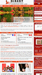 Mobile Screenshot of directdemenagement.com